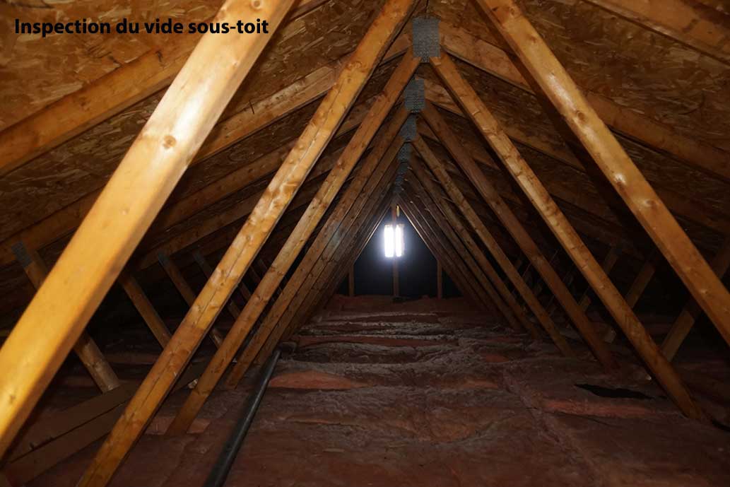 Inspection du vide sous-toit